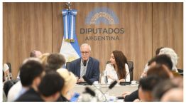 comisión de ciencia 03102025