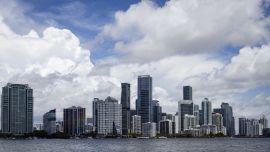 Miami bajo cero: una ola de frío histórica sacude al sur de EE.UU., deja nieve en Florida y revive la “lluvia de iguanas”