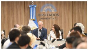 comisión de ciencia 03102025