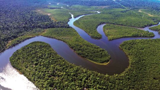 La regeneración es el nuevo horizonte de la belleza: el plan Visión 2050 de Natura