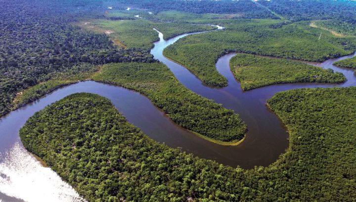 La regeneración es el nuevo horizonte de la belleza: el plan Visión 2050 de Natura