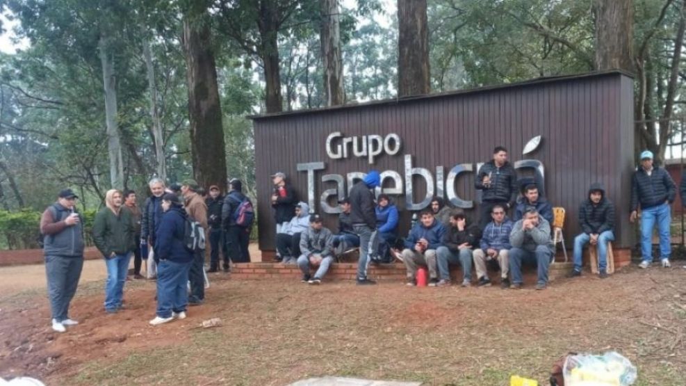 Forestadora Tapebicuá