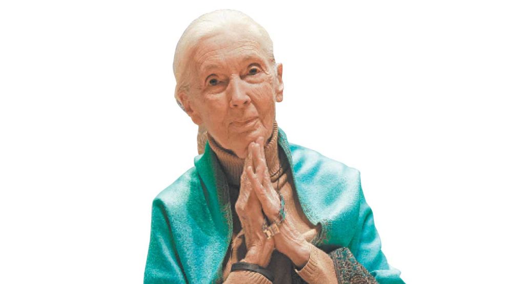 04_10_2025_jane_goodall_cedoc_g