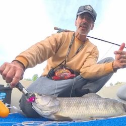 A principios de temporada, es recomendable utilizar streamers, con ciervo y craft fur, o plumas y algo de brillo, sin lastre, para sumergirse apenas en 10 y 15 cm, dada que su actividad no es tan agresiva, como en el verano, cuando las moscas de superficie como ratas y poppers, se hacen aún más efectivas.