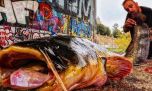 Multarán a los pescadores que no sacrifiquen a una especie invasora