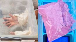 05_10_2025_laboratorio_droga_mataderos_incubadora_policiadelaciudad_g