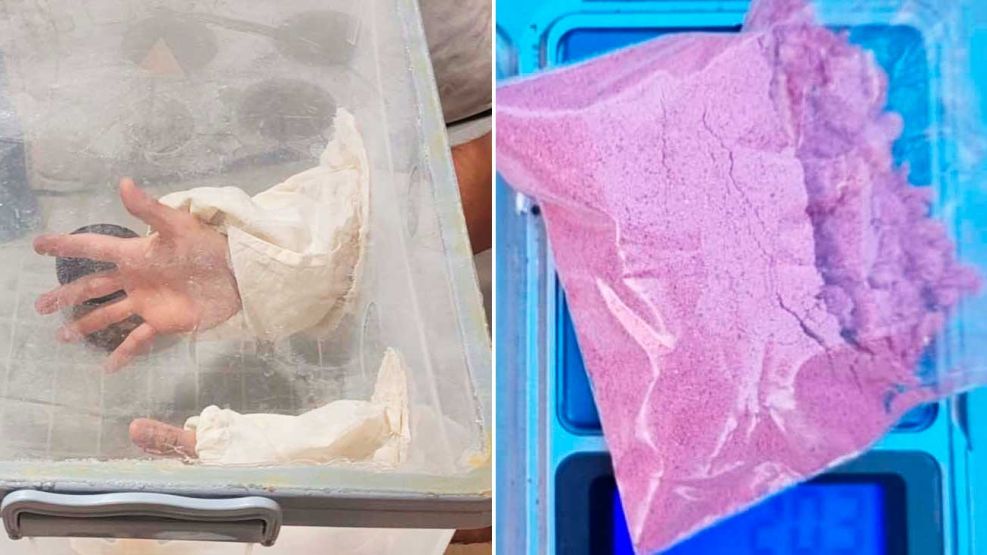 05_10_2025_laboratorio_droga_mataderos_incubadora_policiadelaciudad_g