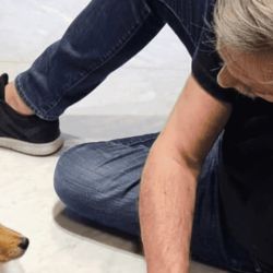 alberto perros | Foto:CEDOC