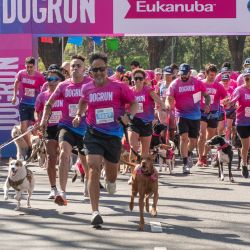 Correr juntos.
