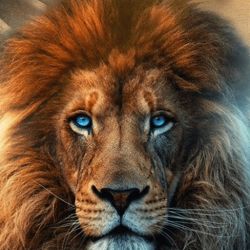 leon libertario | Foto:CEDOC