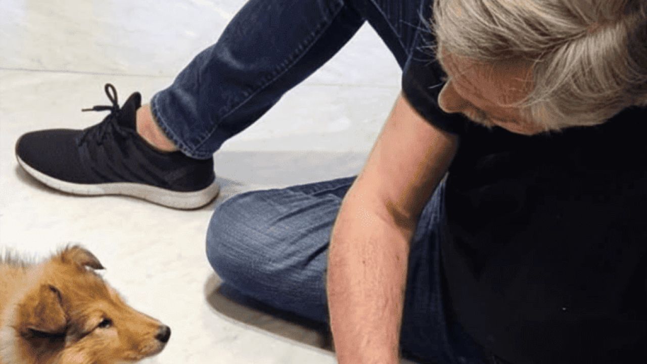 alberto perros | Foto:CEDOC