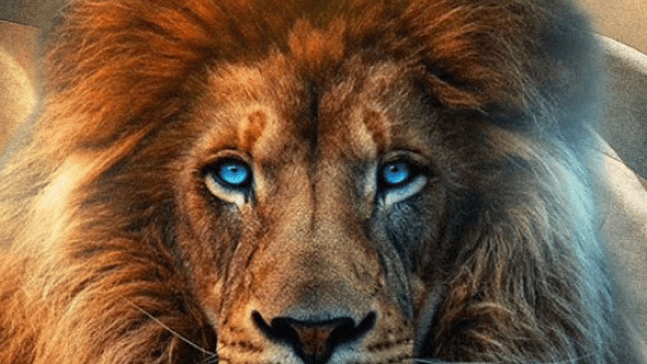 leon libertario | Foto:CEDOC