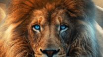 El león de ojos azules con el que Milei promociona su show en el Movistar Arena 