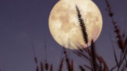 Luna llena del Cazador