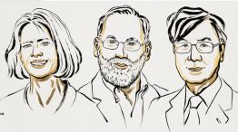 Nobel de Medicina 2025