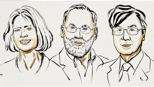 Nobel de Medicina 2025