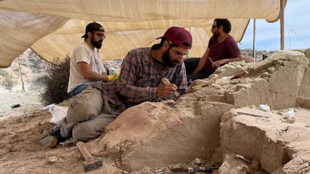 CONICET realiza una expedición paleontológica en la provincia de Río Negro 20251006