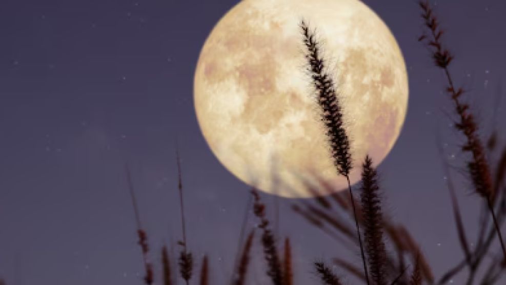 Luna llena del Cazador