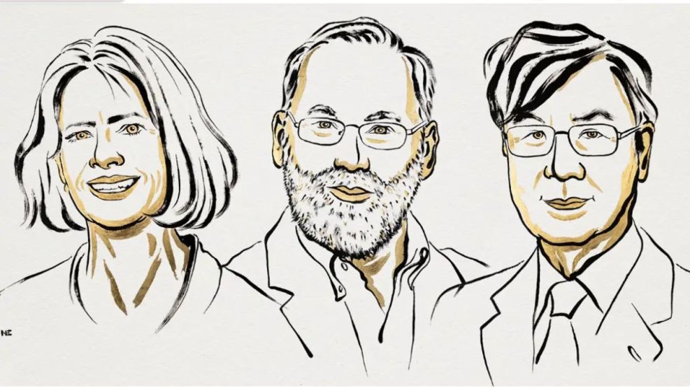 Nobel de Medicina 2025