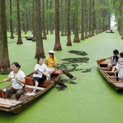 Vista aérea tomada con un dron de turistas remando en botes en el parque del humedal del lago Luyang, en Yangzhou, en la provincia de Jiangsu, en el este de China. | Foto:Xinhua/Meng Delong