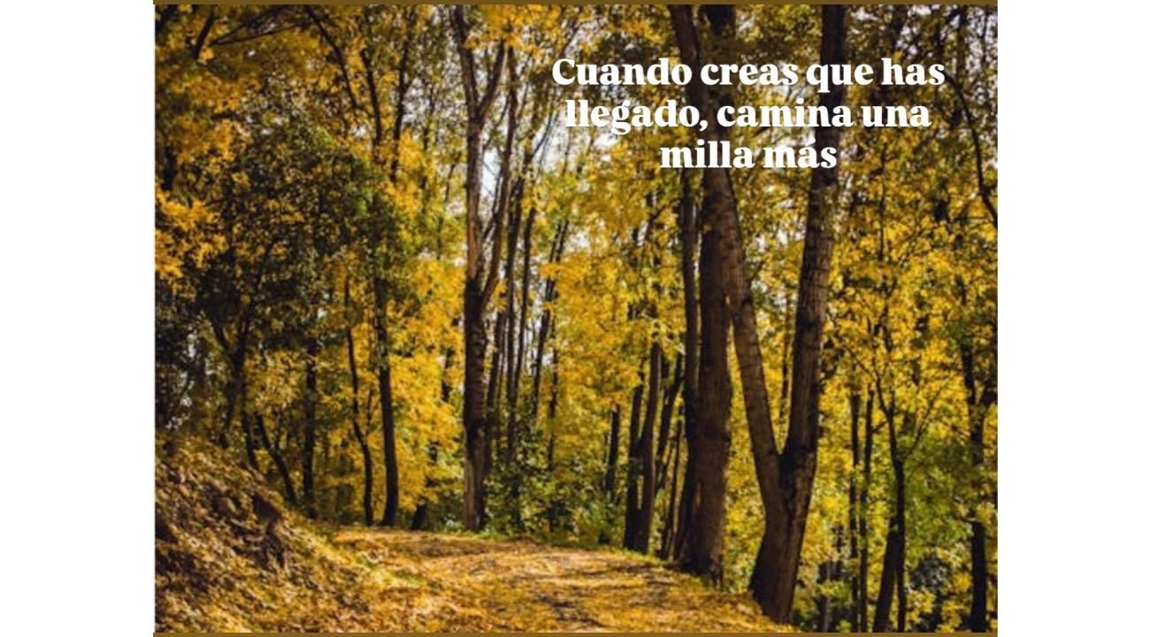El autocuidado como estrategia para nutrir a nuestro niño interno.