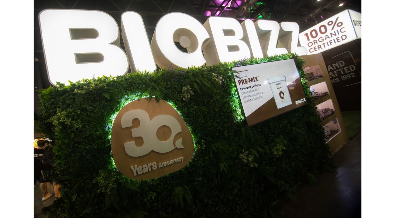 Expo Cannabis 2025: el encuentro más grande de especialistas en el rubro