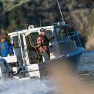 Honda Marine