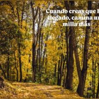 El autocuidado como estrategia para nutrir a nuestro niño interno.