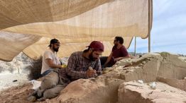 Vuelve el streaming del CONICET para descubrir dinosaurios.