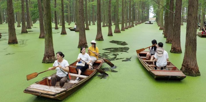 Vista aérea tomada con un dron de turistas remando en botes en el parque del humedal del lago Luyang, en Yangzhou, en la provincia de Jiangsu, en el este de China.