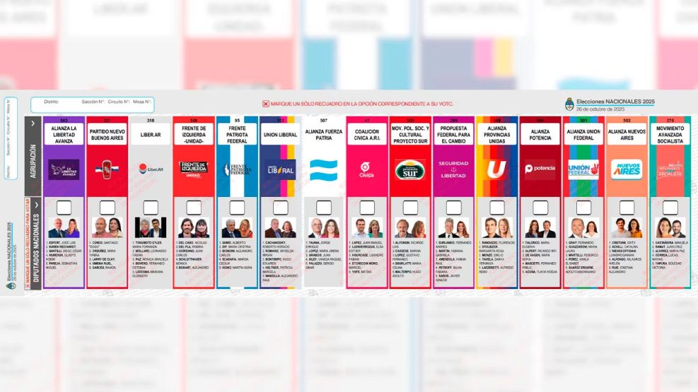 Boleta única elecciones 2025 07102025