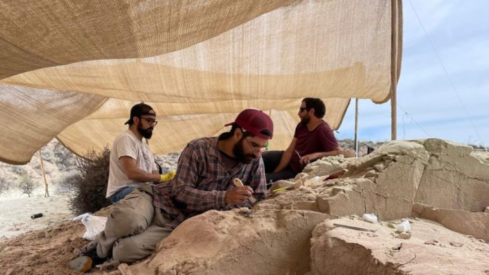 Vuelve el streaming del CONICET para descubrir dinosaurios.