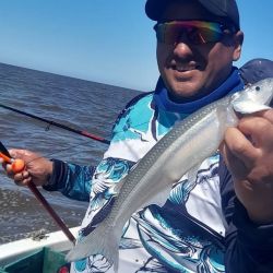 La entrada de agua por canales, ríos y arroyos obliga a navegar más distante de la costa, pero los resultados con el flecha de plata son óptimos. 