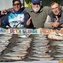 La entrada de agua por canales, ríos y arroyos obliga a navegar más distante de la costa, pero los resultados con el flecha de plata son óptimos. 