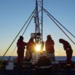 Los científicos esperaban encontrar solo bacterias o esponjas microscópicas