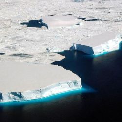 El hallazgo tuvo lugar bajo la plataforma de hielo Filchner-Ronne. 