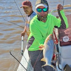 En tan solo 4 horas de pesca, obtuvimos varios ejemplares de bogas medianas lo que significa que estamos en presencia de una muy buena temporada de esta especie. 