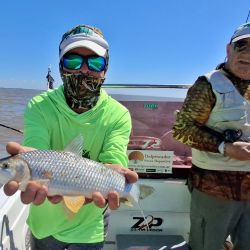 En tan solo 4 horas de pesca, obtuvimos varios ejemplares de bogas medianas lo que significa que estamos en presencia de una muy buena temporada de esta especie. 