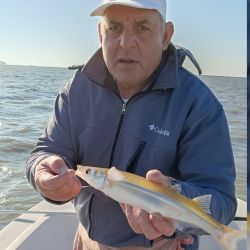 Es clave usar boyas chicas a medianas, con colores claros con mejor funcionamiento. Aparejos livianos y sutiles, con un peje que come más firme pero sigue estando algo mañoso. Los piques se dan tanto cerca de la lancha como lejos, sin dudas, una laguna muy poblada.