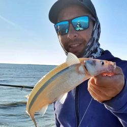 Es clave usar boyas chicas a medianas, con colores claros con mejor funcionamiento. Aparejos livianos y sutiles, con un peje que come más firme pero sigue estando algo mañoso. Los piques se dan tanto cerca de la lancha como lejos, sin dudas, una laguna muy poblada.