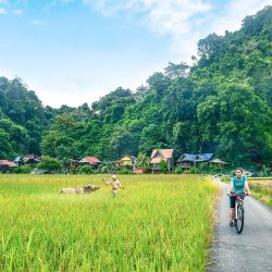 Las mil caras de Malasia, el nuevo destino para los argentinos.