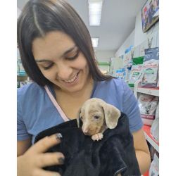 Por qué los Vetes sugerimos a nuestros clientes la utilización de antiparasitarios | Foto:CONTENT NOTICIAS