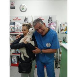 Por qué los Vetes sugerimos a nuestros clientes la utilización de antiparasitarios | Foto:CONTENT NOTICIAS