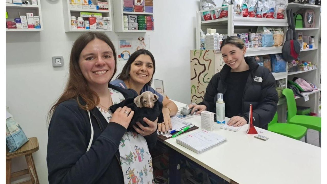 Por qué los Vetes sugerimos a nuestros clientes la utilización de antiparasitarios | Foto:CONTENT NOTICIAS