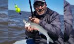 Bagres de mar y pejerreyes aguas adentro de Cerro de la Gloria