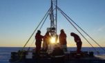 Encuentran criaturas con forma de langostas bajo el hielo de la Antártida