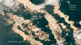  Los pozos de oro de la Amazonia peruana que fascinan a la NASA y preocupa a los científicos 08102025