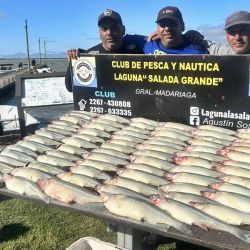 Tiene cierta complejidad y no todos los días rinde igual, aunque con el buen clima es una interesante alternativa La Salada Grande.