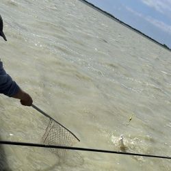 Tiene cierta complejidad y no todos los días rinde igual, aunque con el buen clima es una interesante alternativa La Salada Grande.