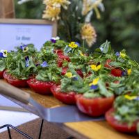 Bodas Sustentables